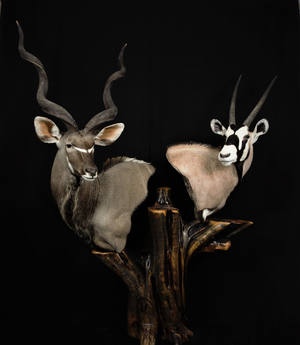 Photo 194 - Kudu Gemsbok Pedestal