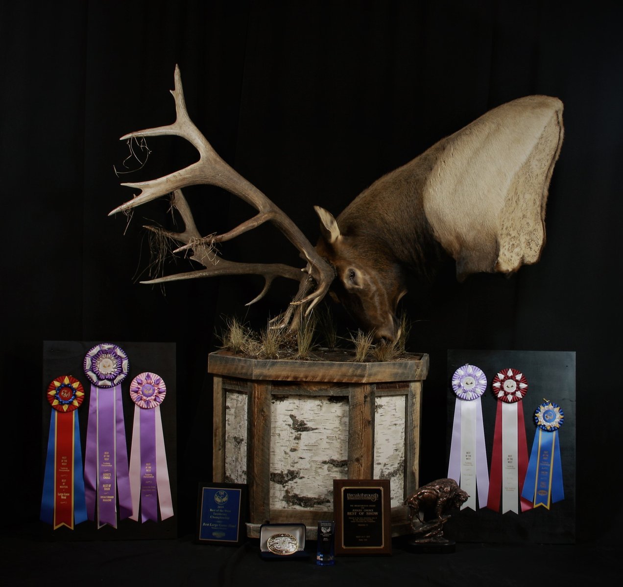 Photo 211 - Elk Pedestal