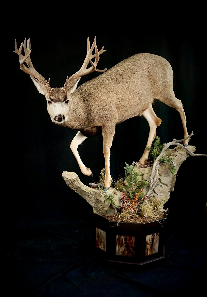 Photo 68 - Life Size Deer