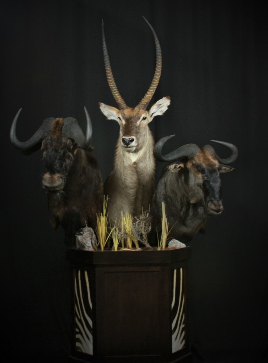 Photo IMG102 - Africa Pedestal