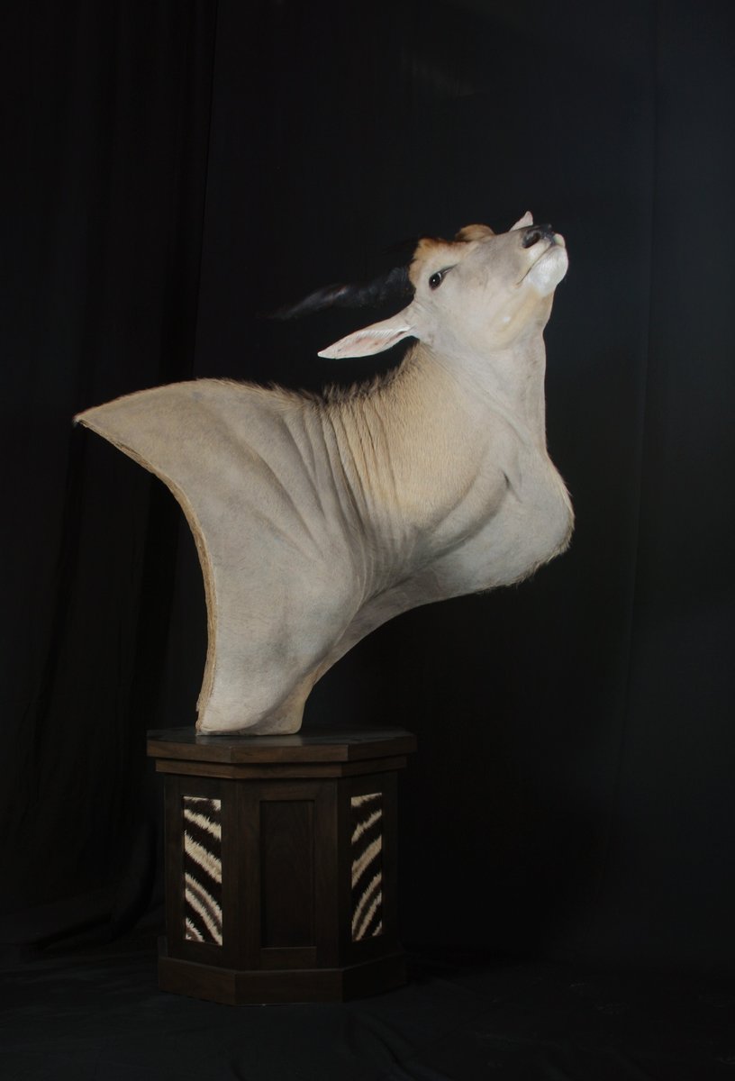 Photo IMG117 - Eland Pedestal