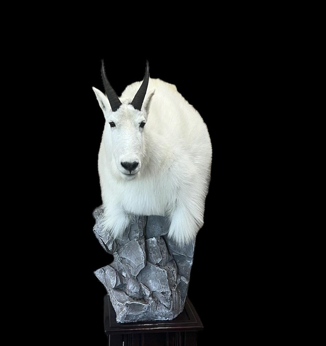 Photo IMG170 - Mountain Goat Pedestal