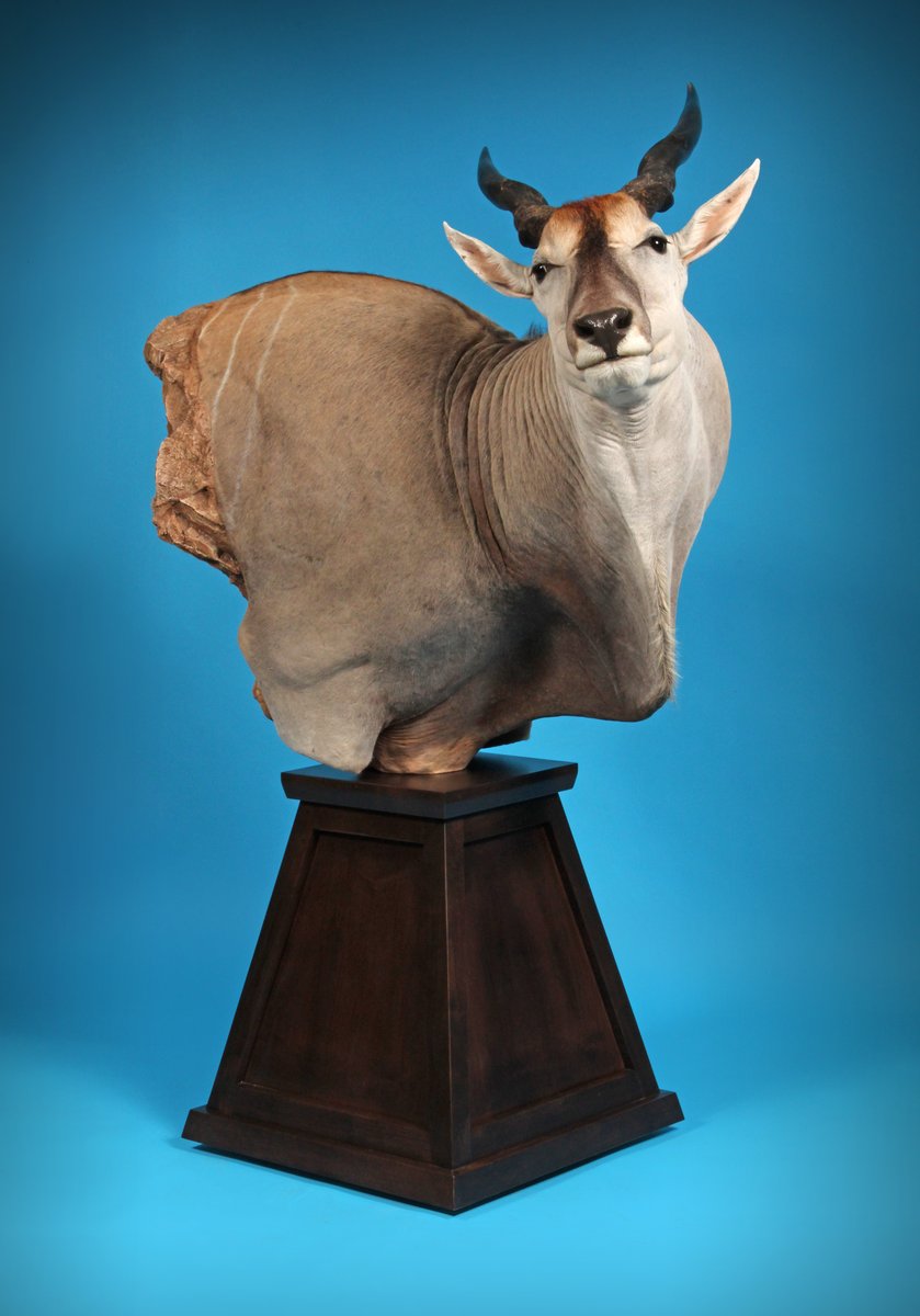 Photo IMG210 - Eland Pedestal