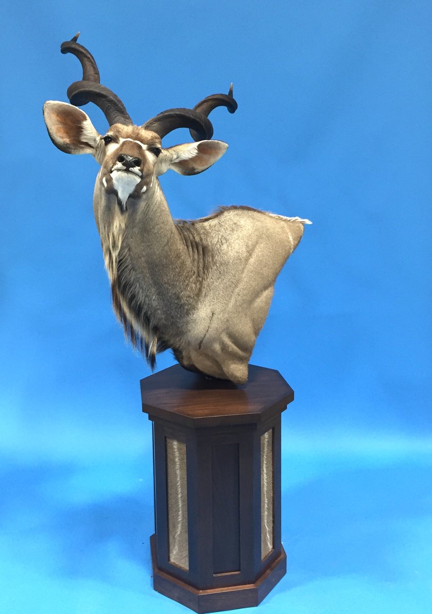 Photo IMG212 - Kudu Pedestal