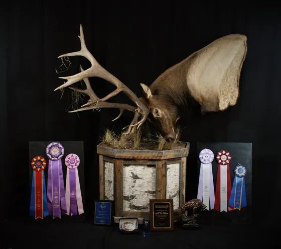 About Us Elk