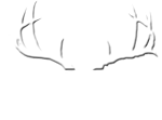 Judkins Taxidermy Logo